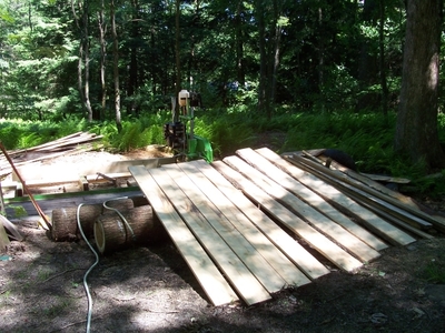 Lumber (1)